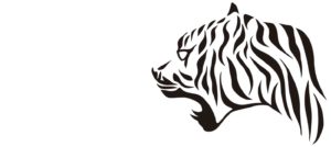 寅壱 | Toraichi Concept