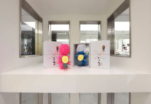 寅壱 | Toraichi Concept